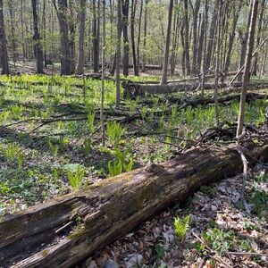 Meet your Posher, Kristi